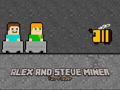 alex-and-steve-miner-two-player