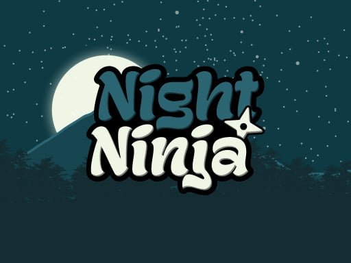 night-ninja