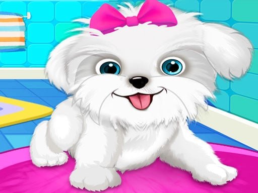 puppy-pet-salon-amp-dog-daycare