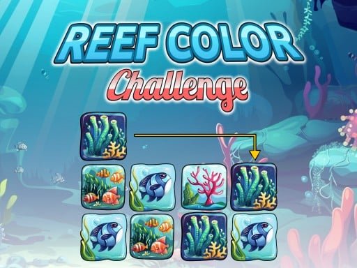 reef-color-challenge
