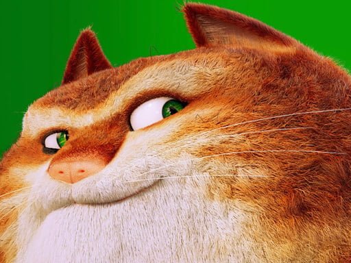 the-amazing-maurice-card-match