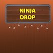 ninja-drop