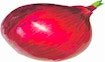 onion